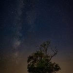 Viliam Vass: Starý agát pod našou galaxiou